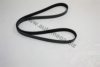AUTOMEGA 1013400024 V-Ribbed Belts